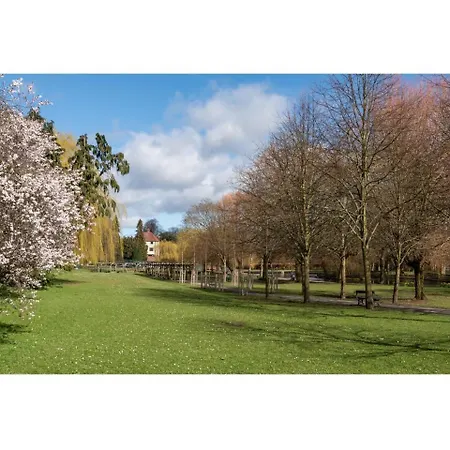 Lägenhet Comfortable Base For 6 Near Bishy Road, And Races! York